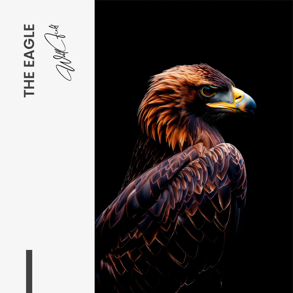 The Eagle – Glas