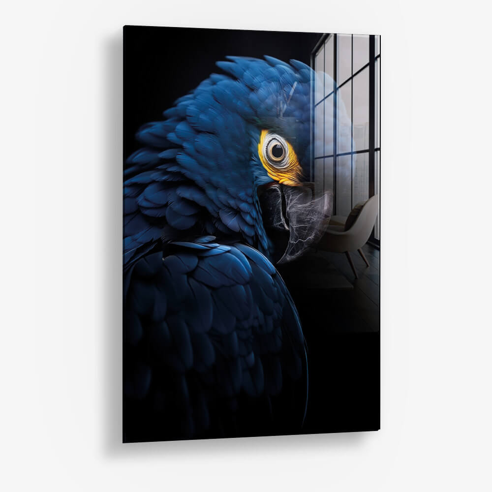 Blue Macaw – Glas