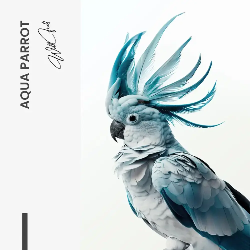 Aqua Parrot – Glas