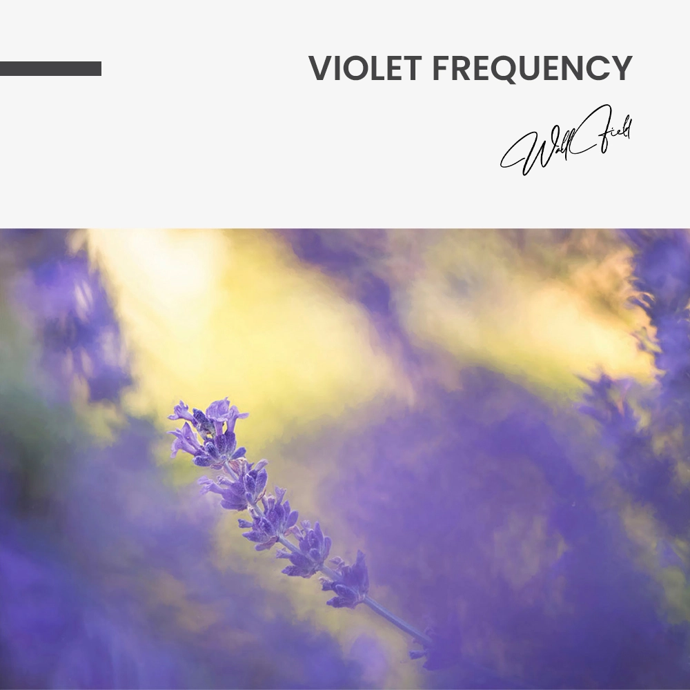 Violet Frequency – Glas