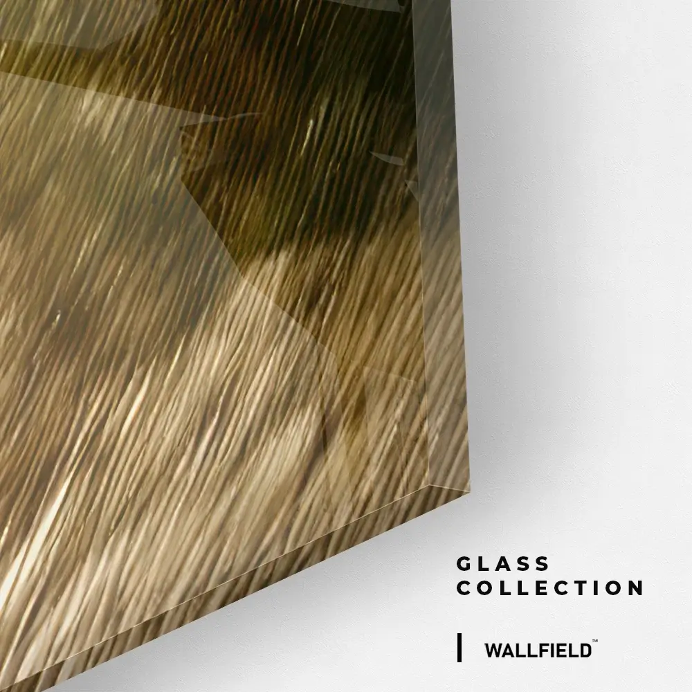 Coastal Drive – Glas