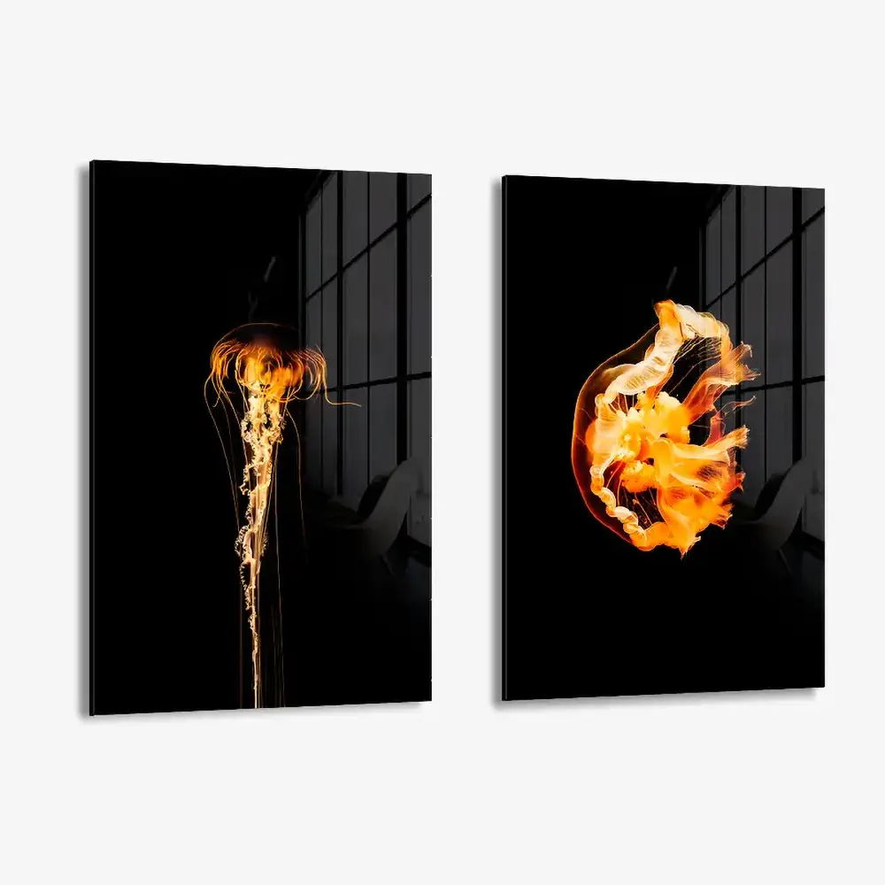 Bundle Amber Fauna (2x) – Glas