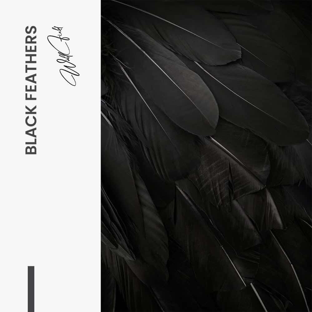 Black Feathers – Glas