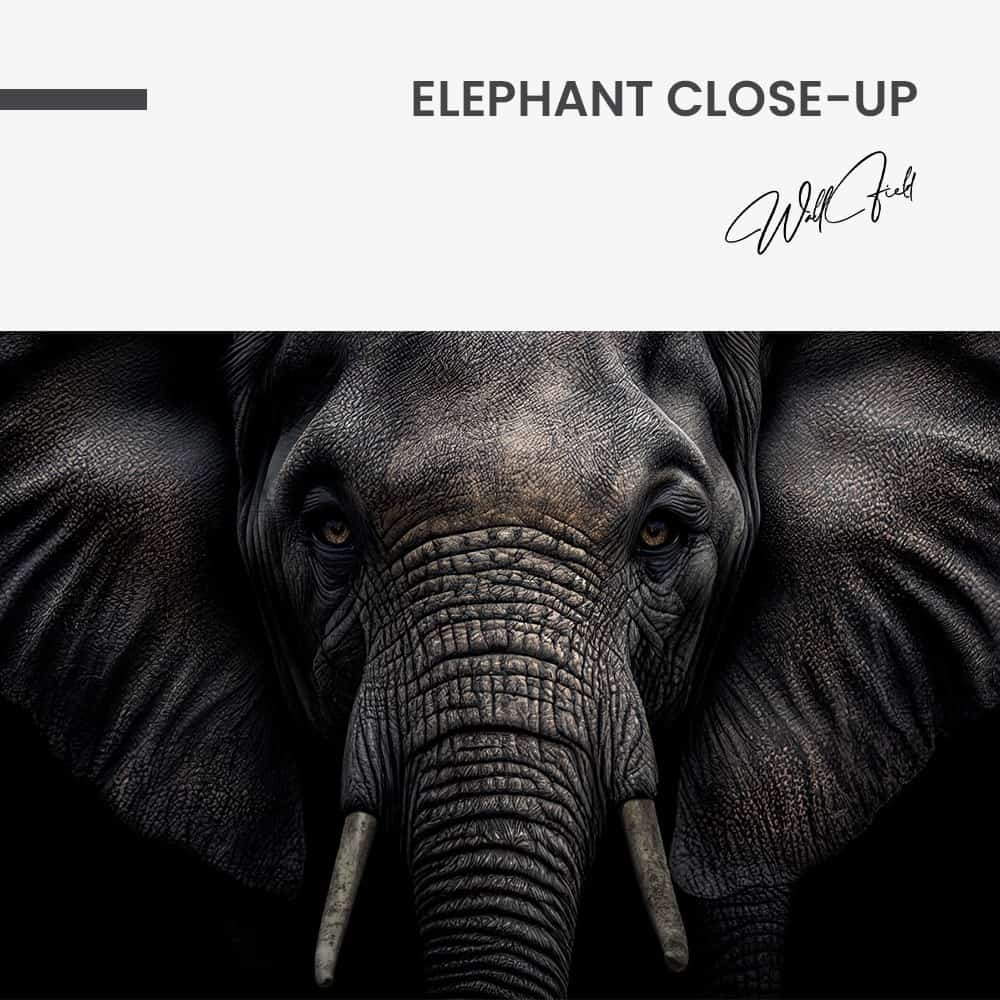Elephant Close-Up – Glas
