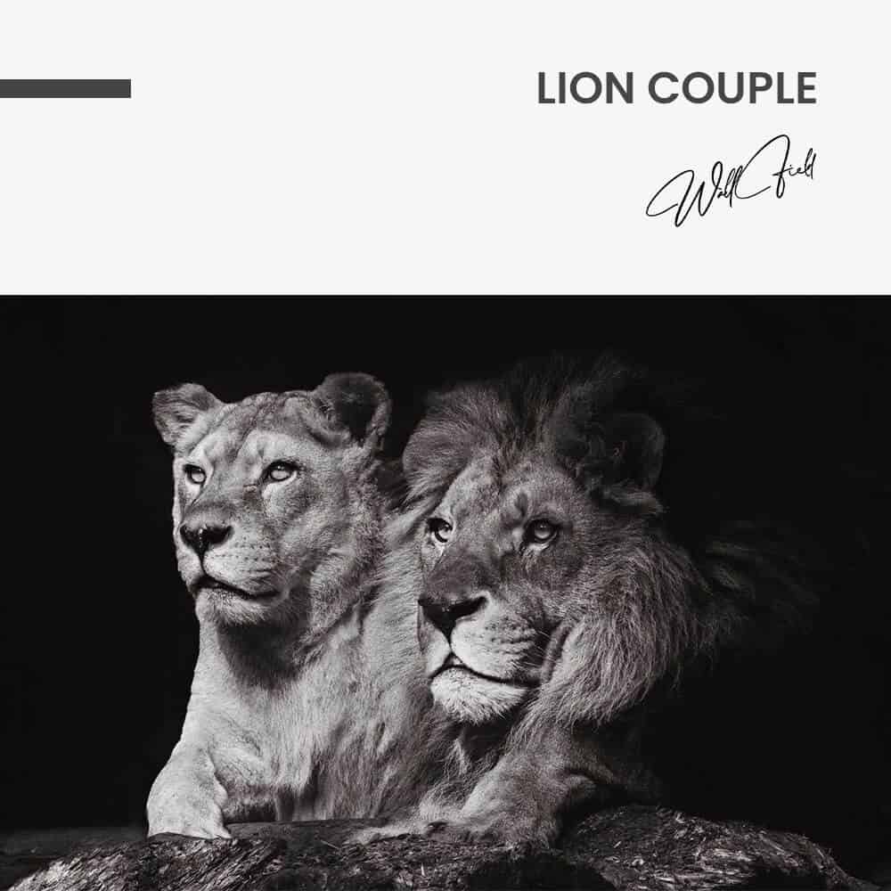 Lion Couple – Glas