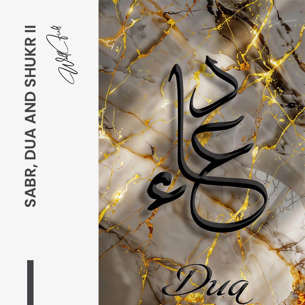 Bundle: "Sabr, Dua & Shukr" – Glas (3x)