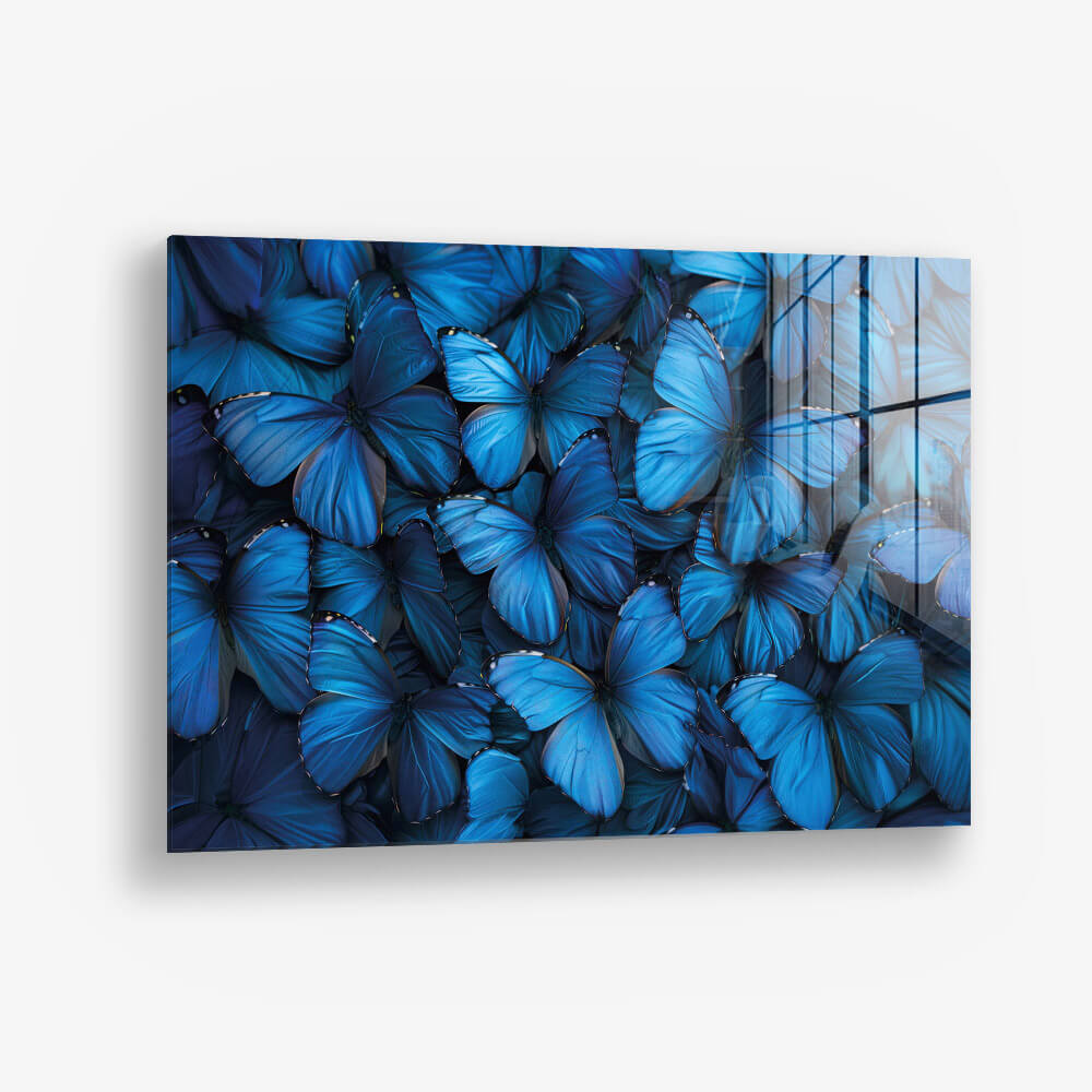 Butterfly Sea – Glas