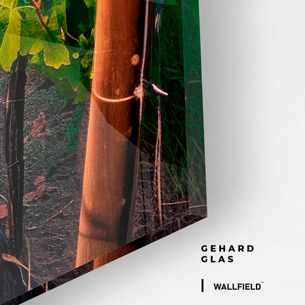 Vineyard – Glas