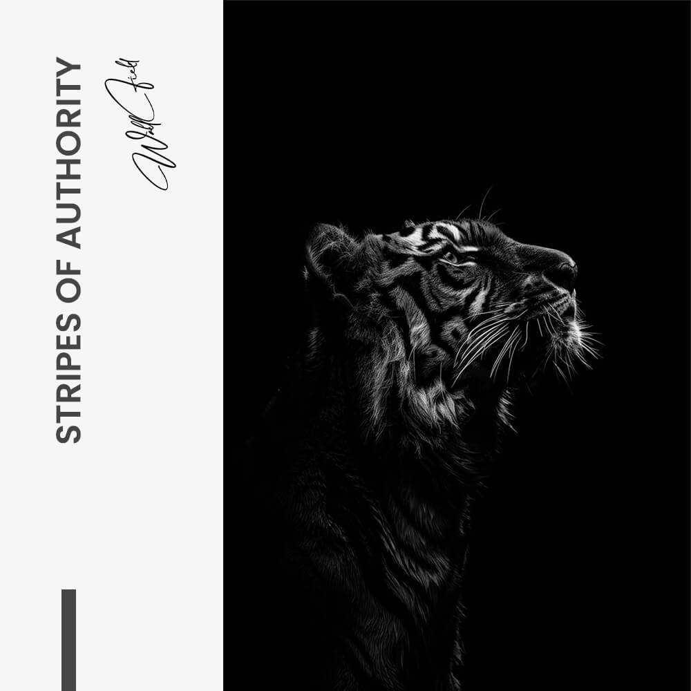 Stripes of Authority – Glas