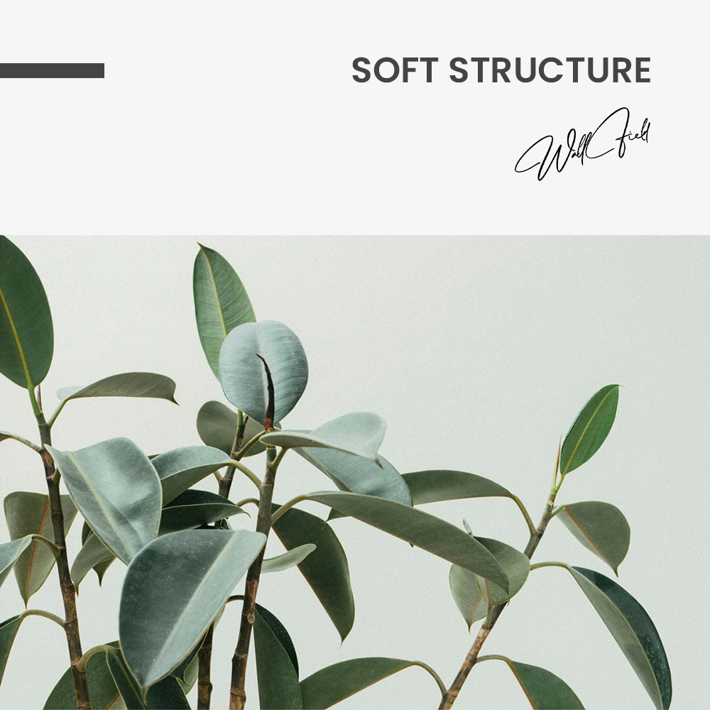 "Soft Structure"