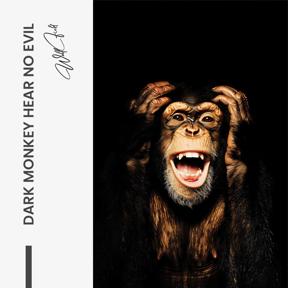Dark Monkey Hear no Evil – Glas