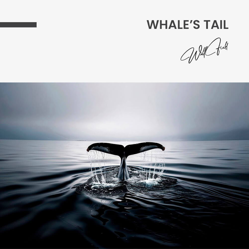 Whale's Tail – Glas