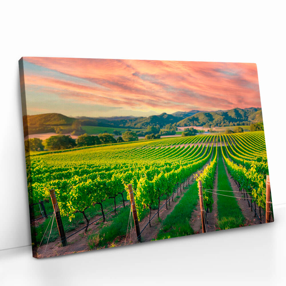 "Vineyard"