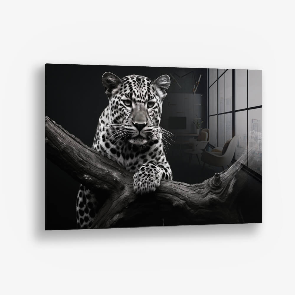 Jaguar HZ – Glas