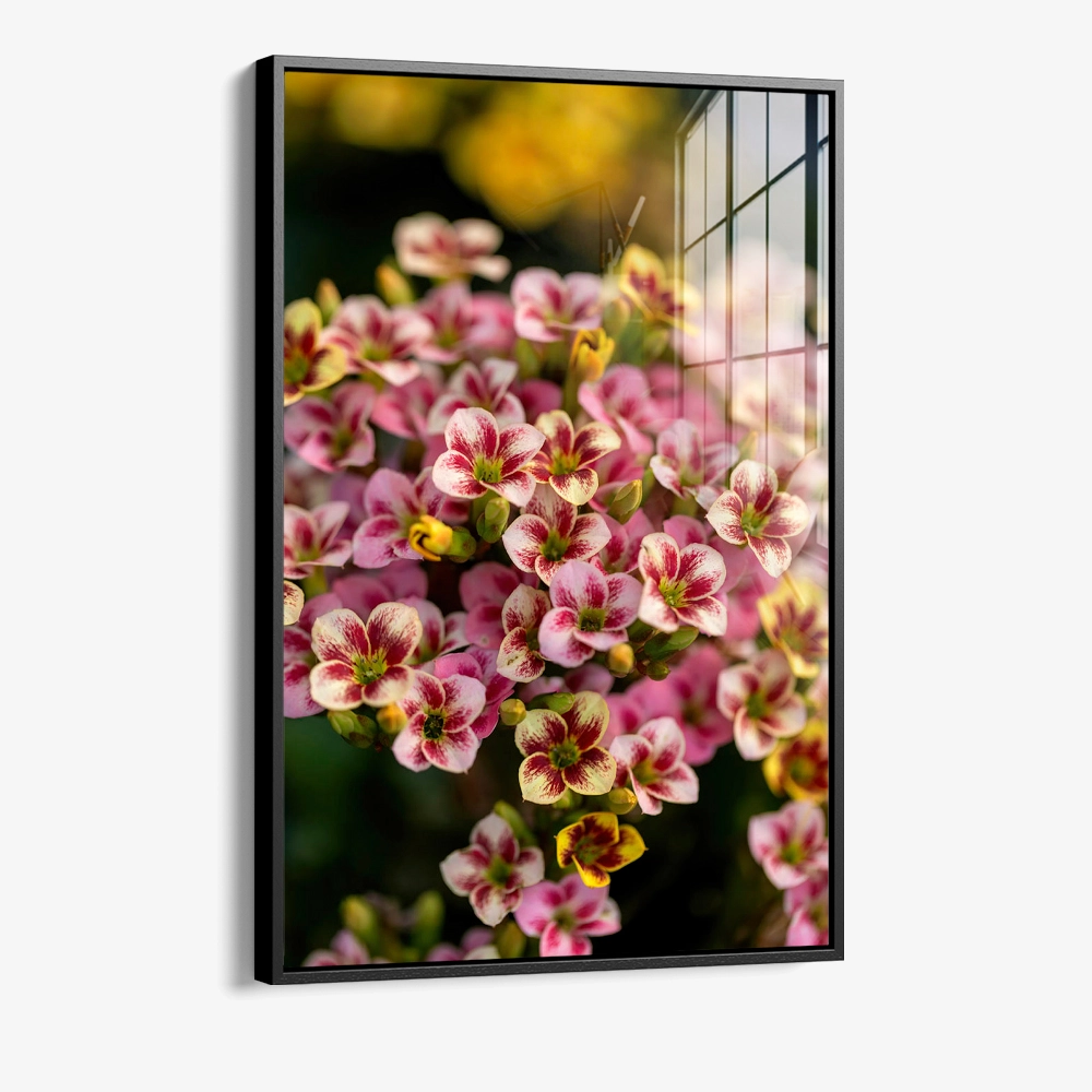 Crimson Ratio – Glas