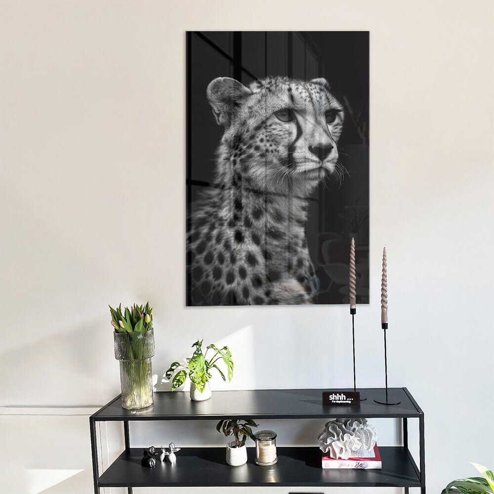 Cheetah's View – Glas