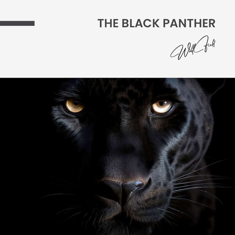 The Black Panther – Glas