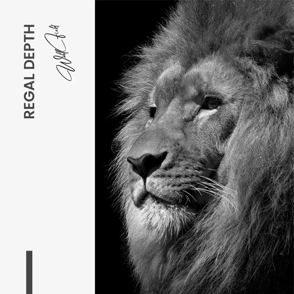 Regal Depth – Glas