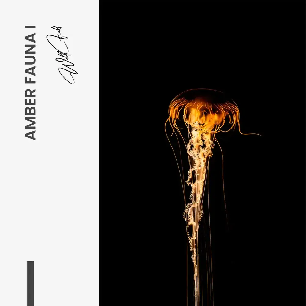 Amber Fauna I – Glas