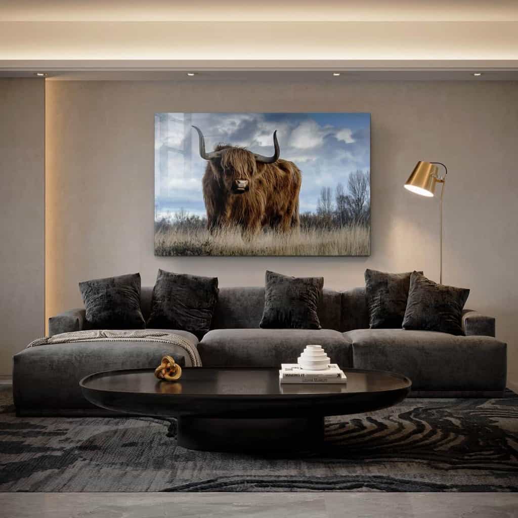 Muskox - Glas