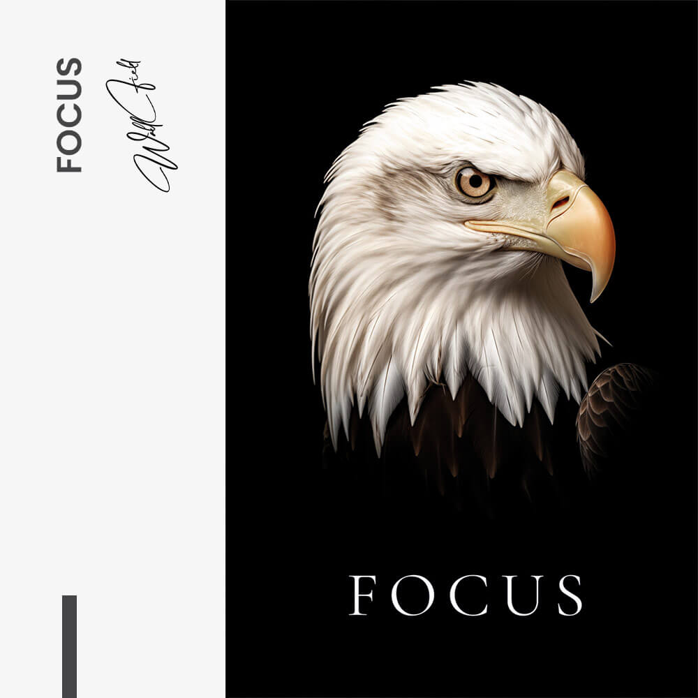 Focus – Glas