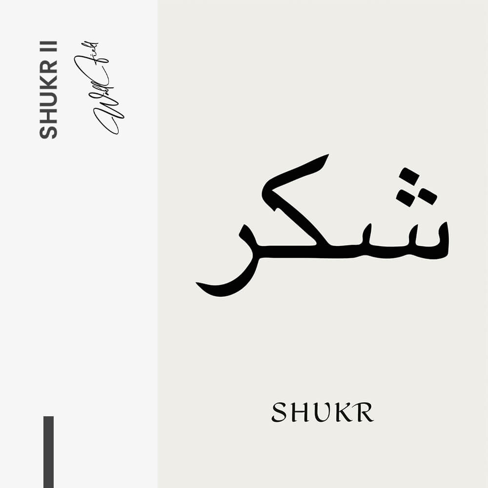 Shukr II – Glas