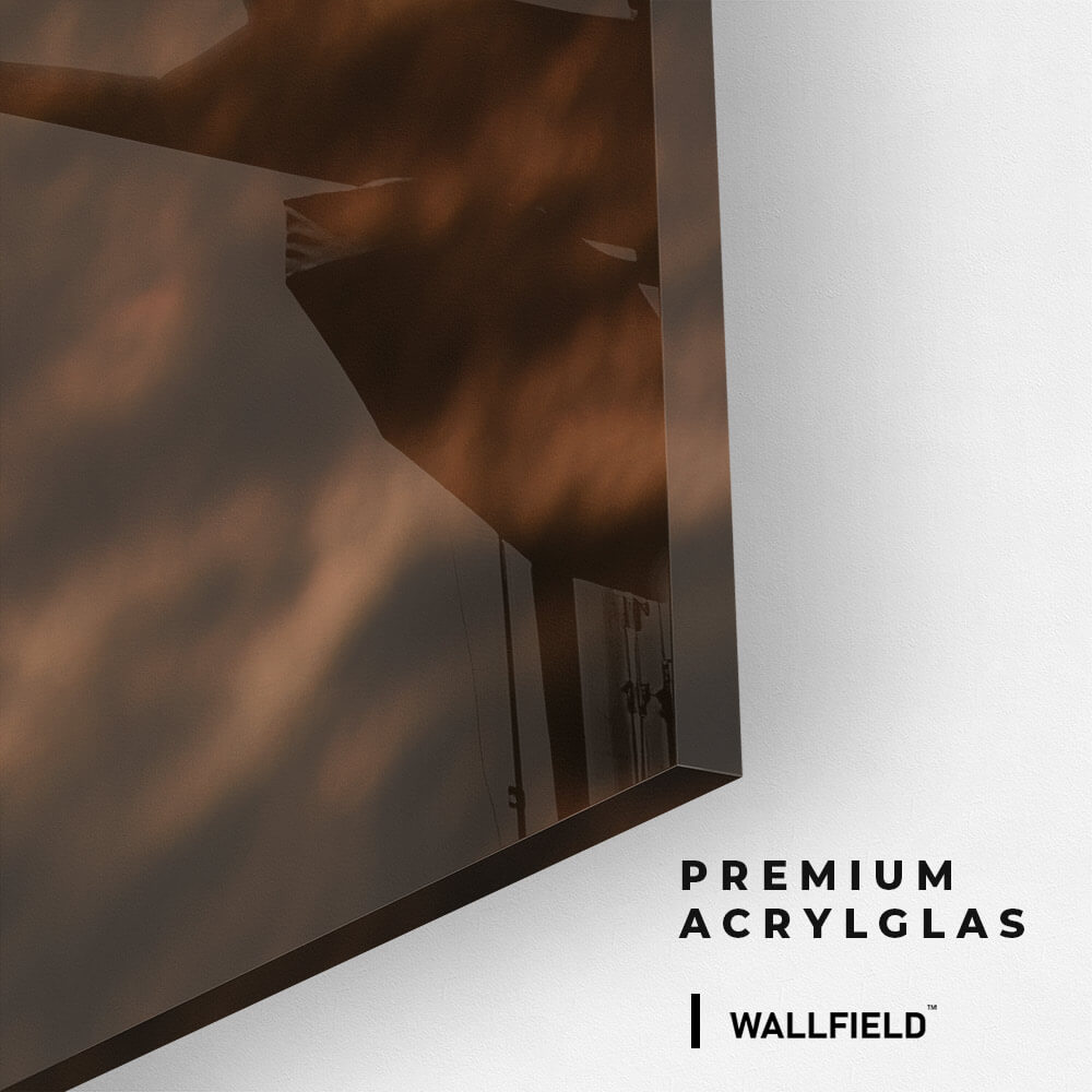 Wild Horses – Glas