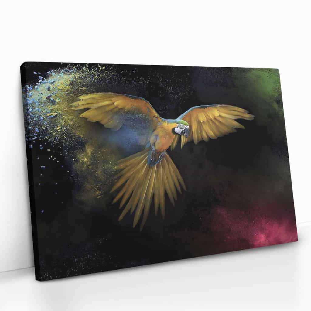 "Color Parrot"