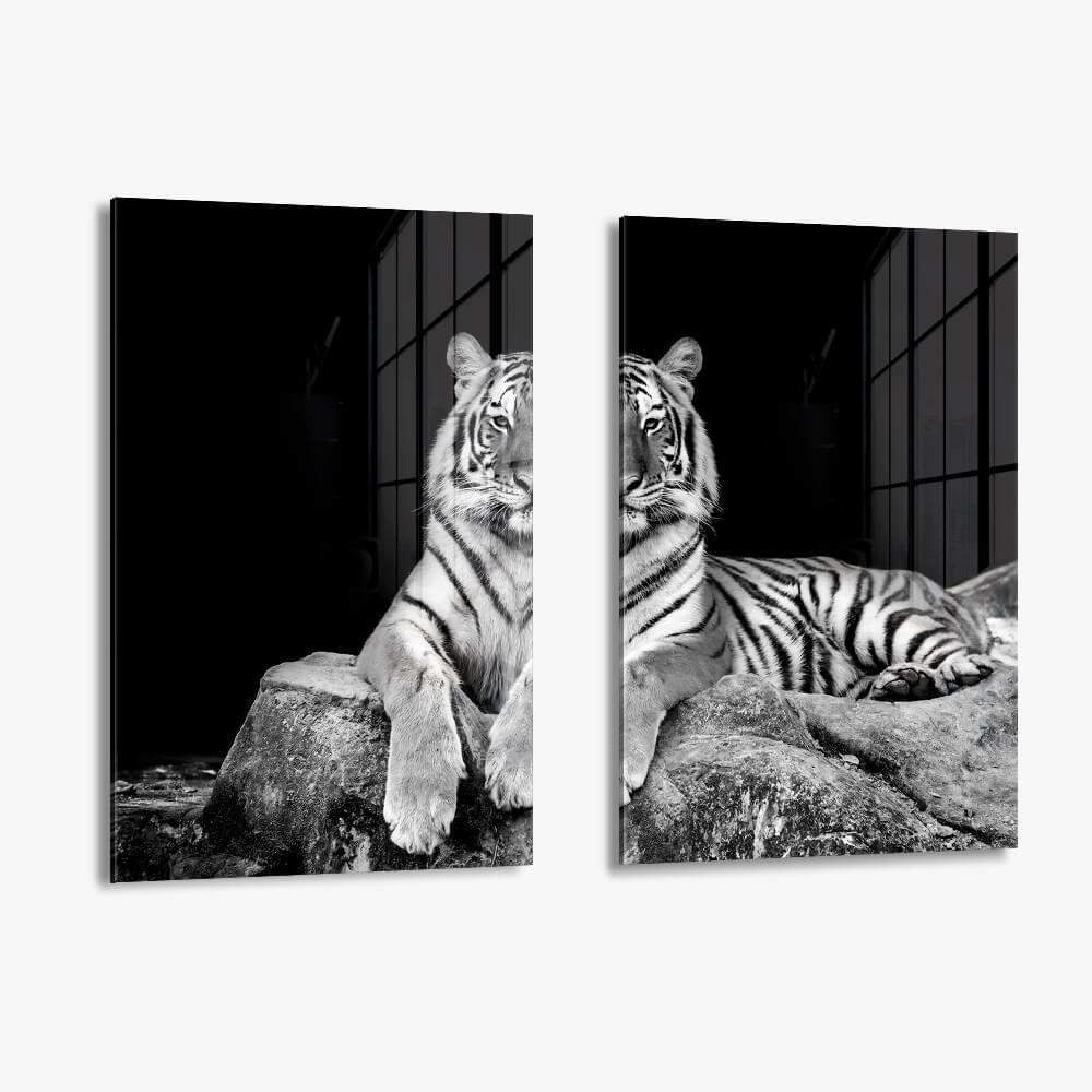 Bundle: "White Tiger" (2x) – Glas