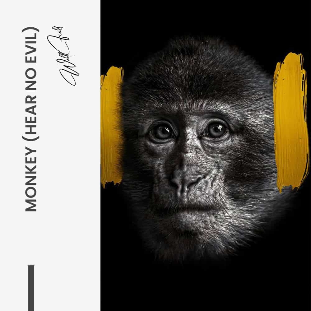 Bundle: “3 Wise Monkeys” (3x) - Glas