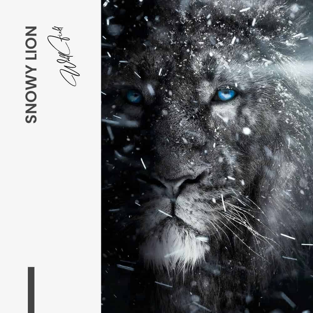 Snowy Lion - Glas