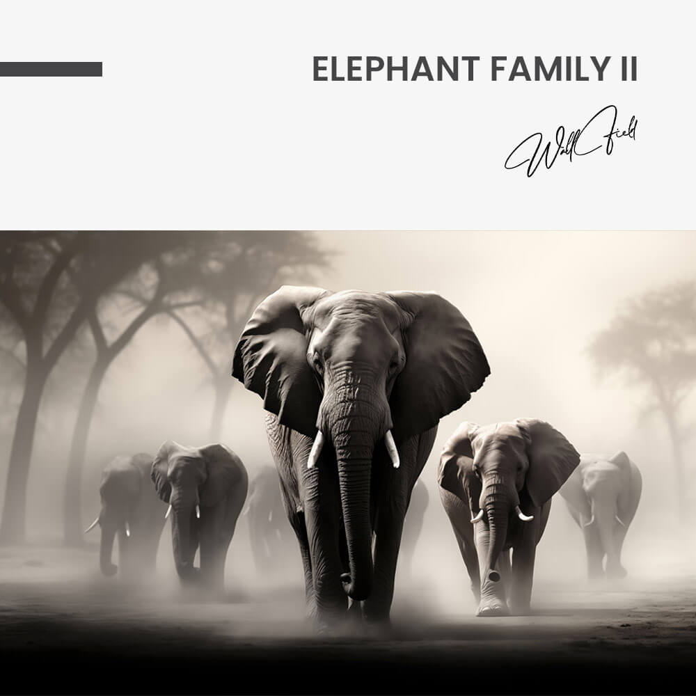 Elephant Family II – Glas
