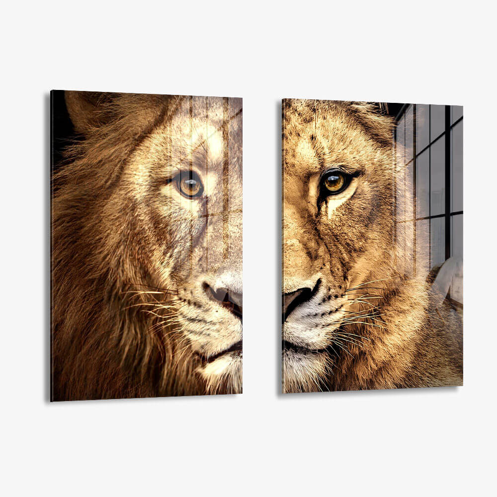 Bundle: "Lion & Lioness Color" (2x) – Glas