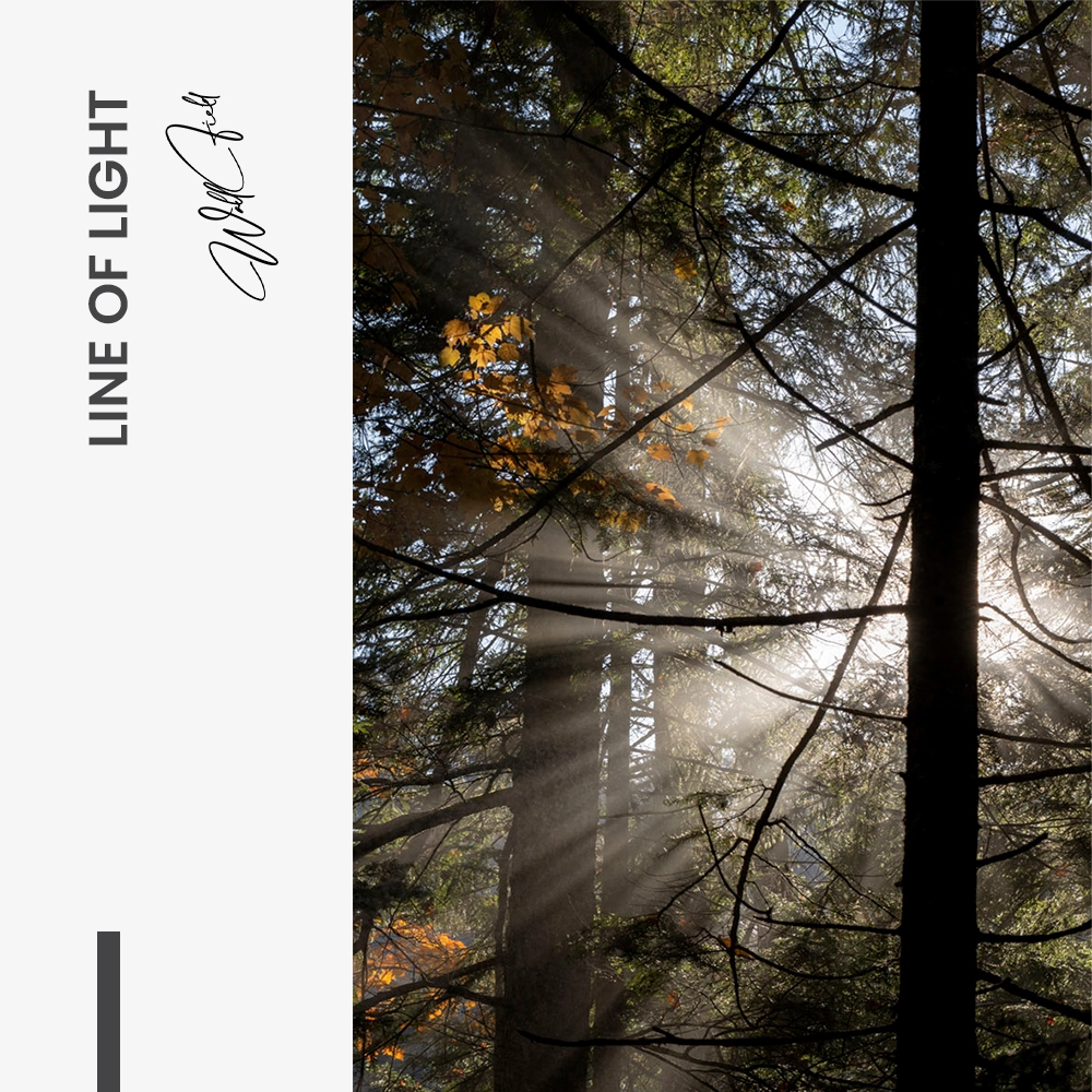 Line of Light – Glas
