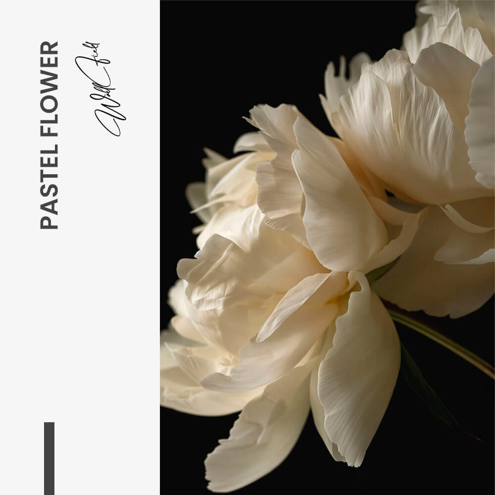 Pastel Flower – Glas