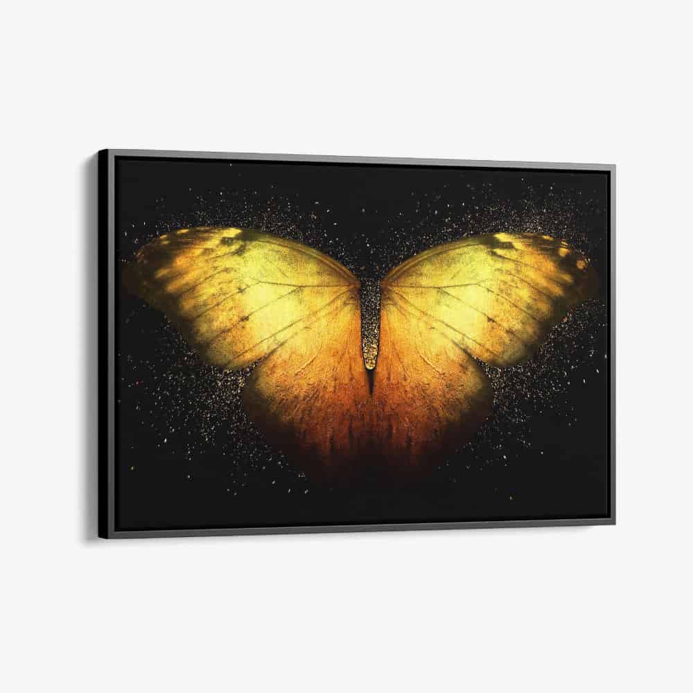 "Butterfly"