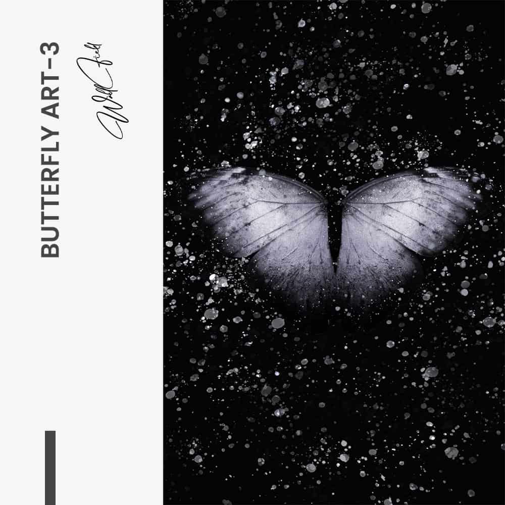 Butterfly Art I – Glas