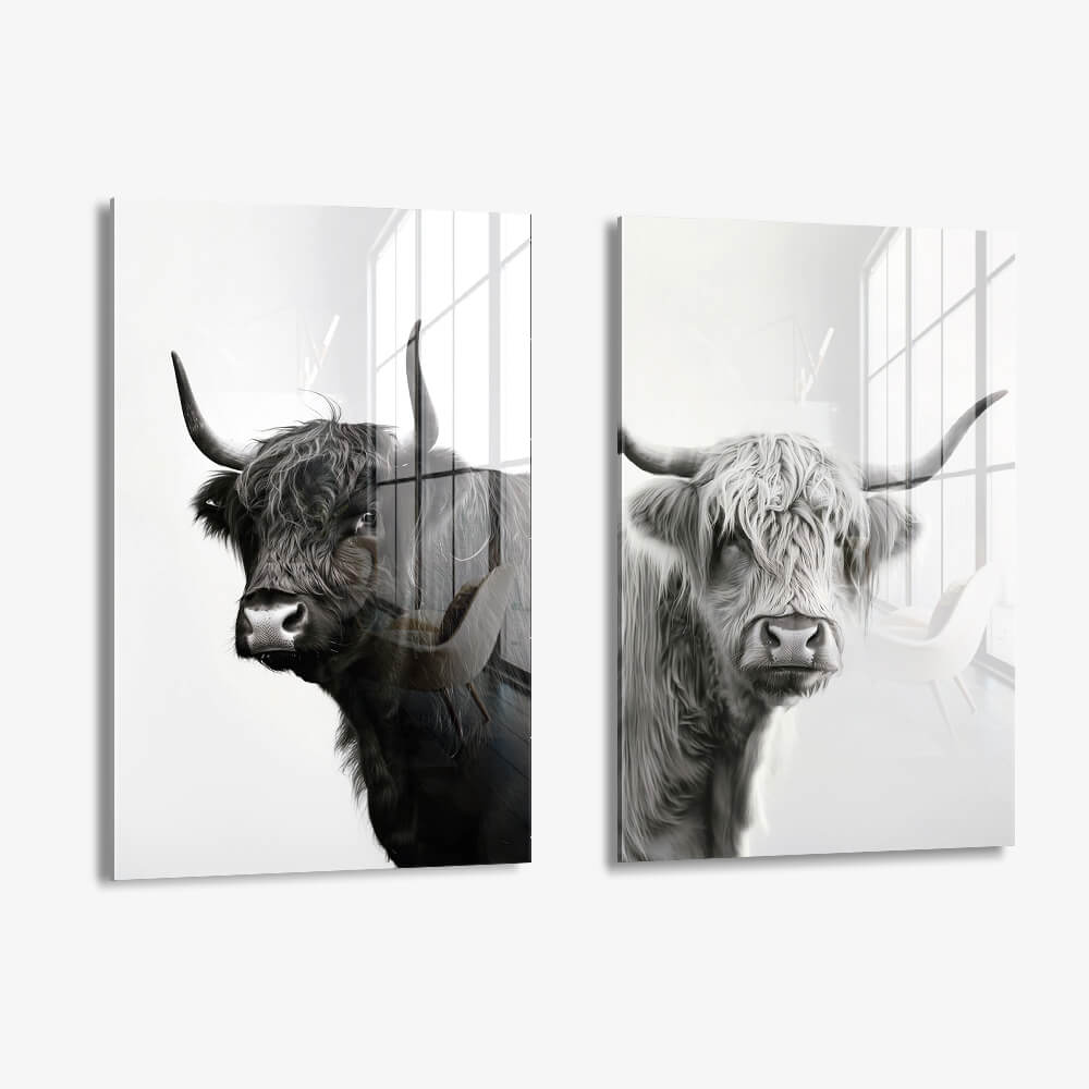 Bundle: "B&W Muscox" (2x) – Glas