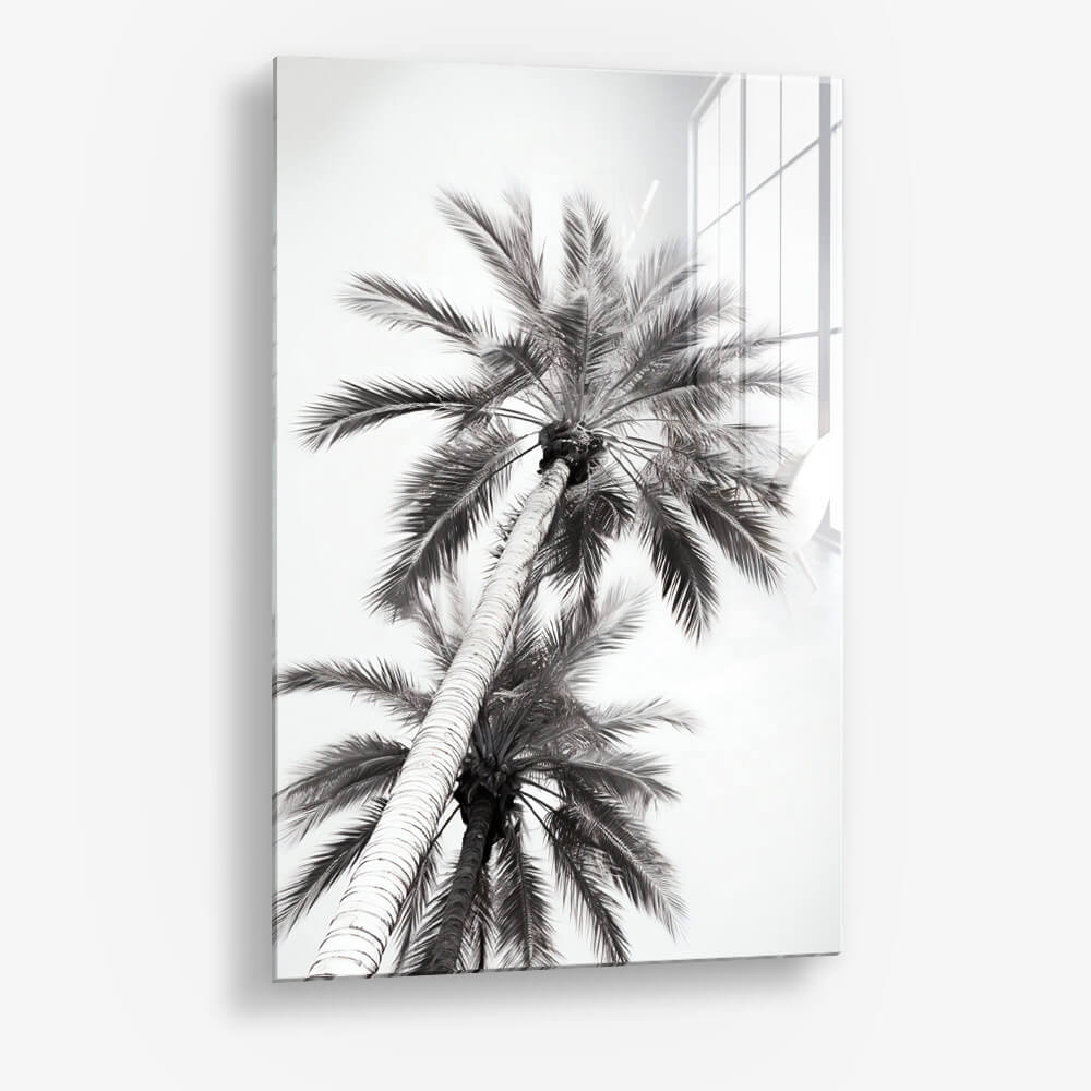 Under The Palm Trees – Glas