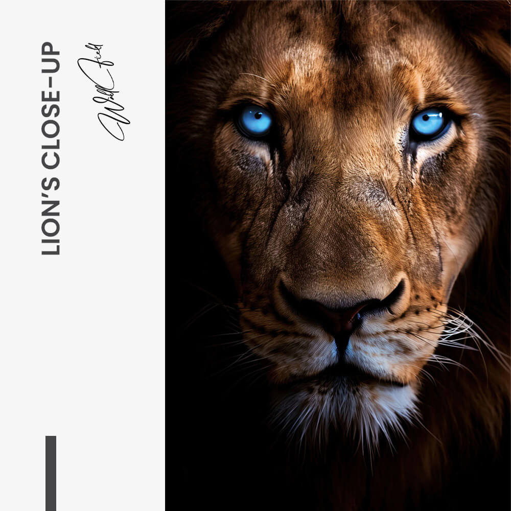 Lion's Close-up – Glas