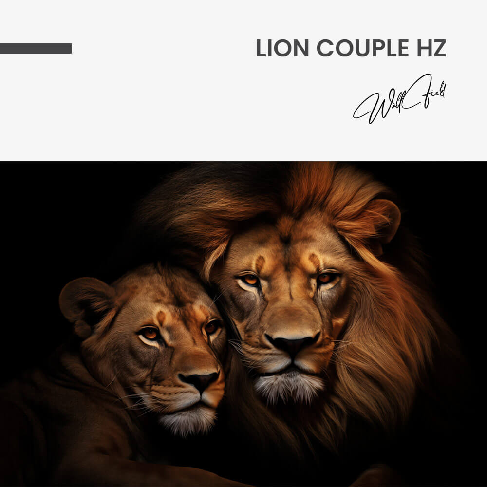 Lion Couple HZ – Glas
