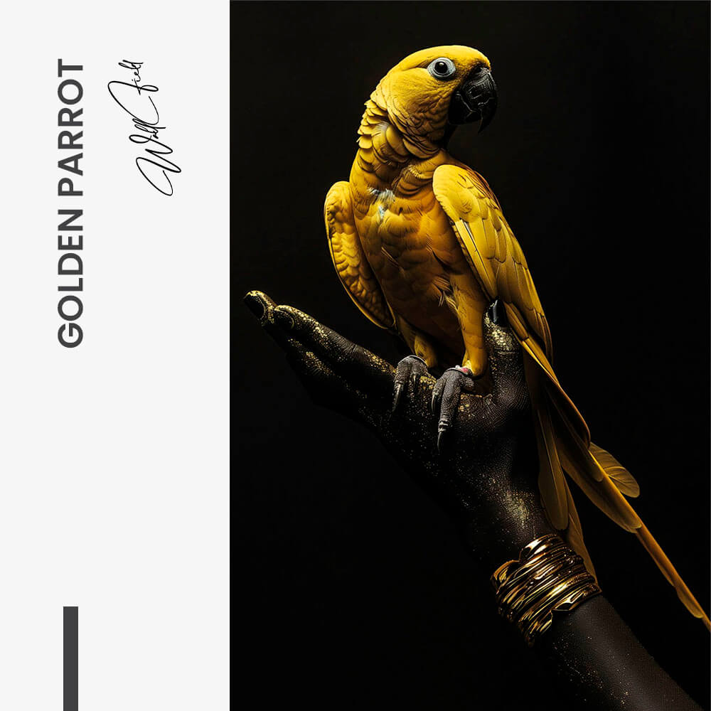 Golden Parrot – Glas
