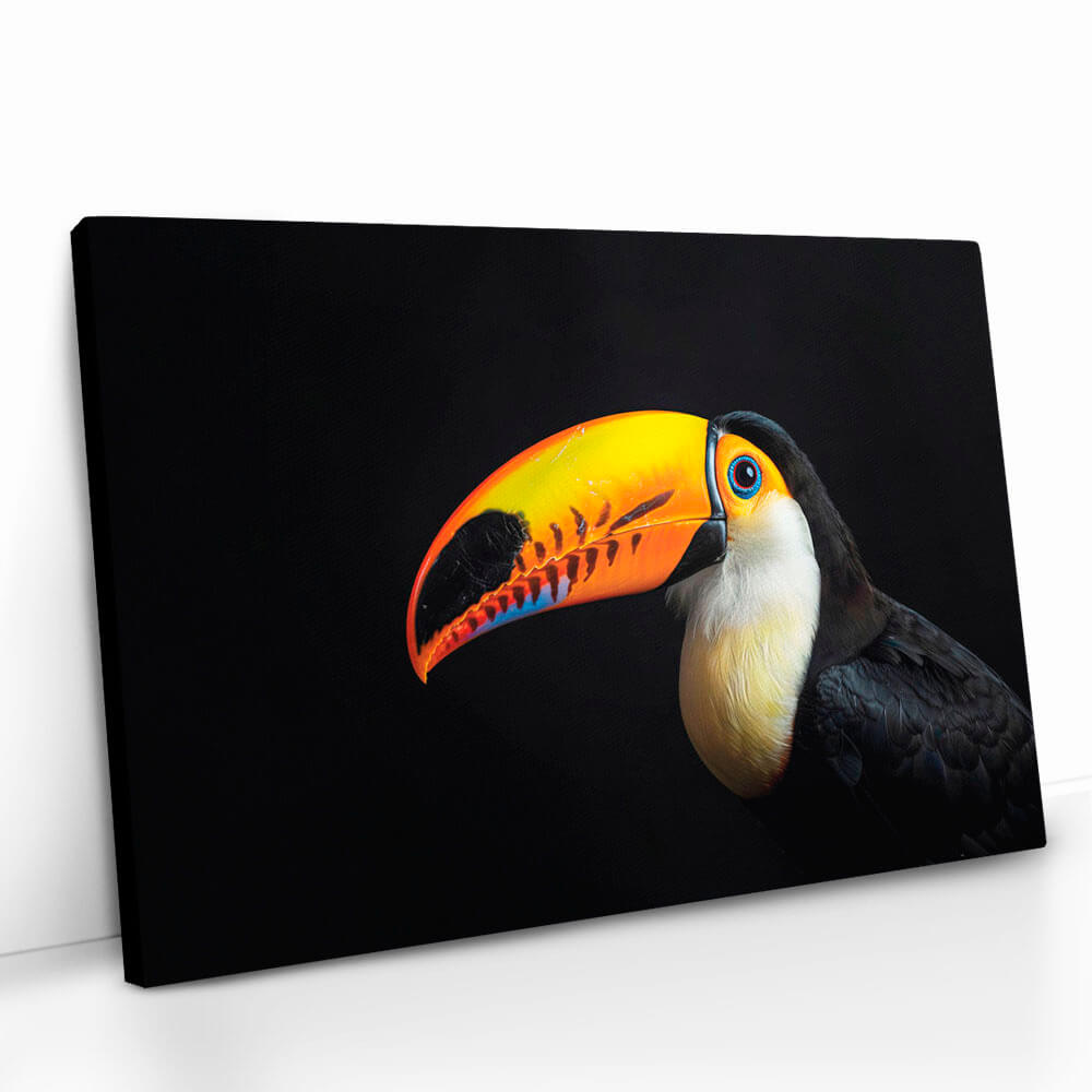 "Toucan"