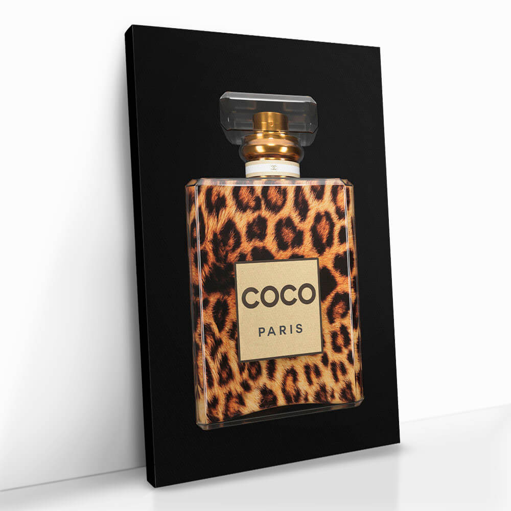 "COCO Leo"