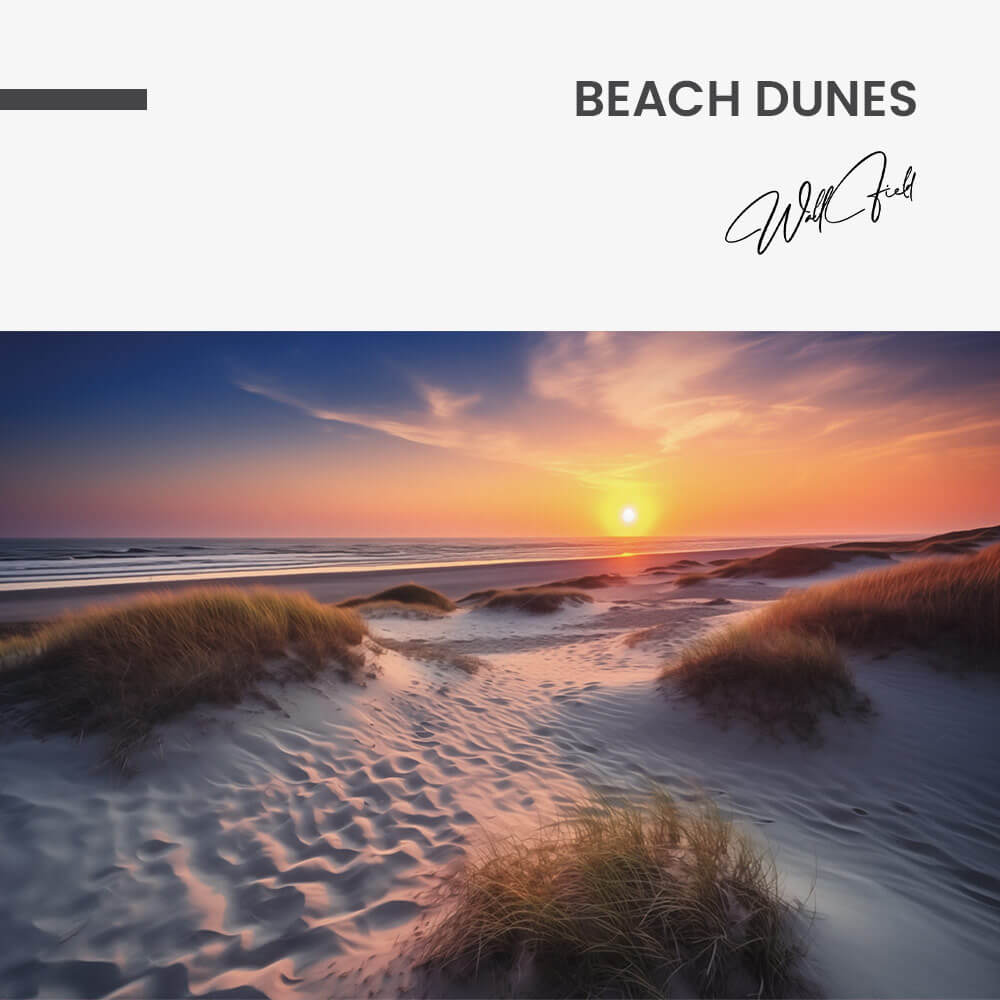 Beach Dunes – Glas