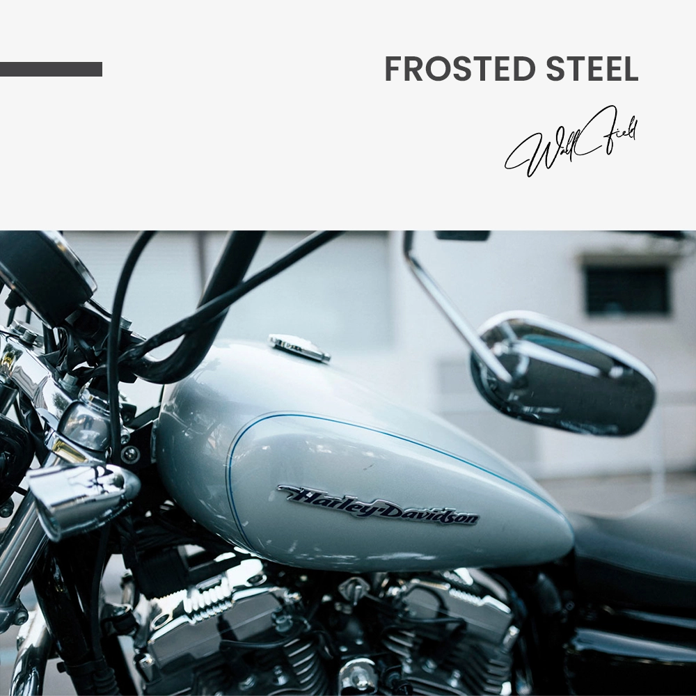 "Frosted Steel"