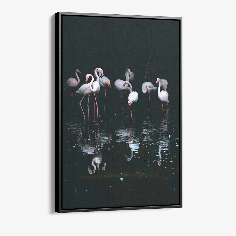 "Mirror Flock"