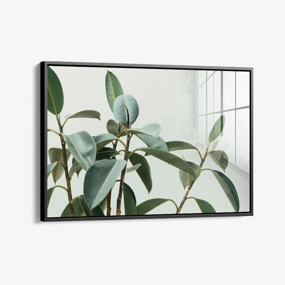 Soft Structure – Glas
