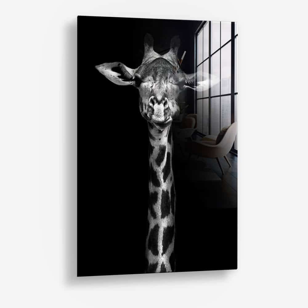 Bundle: "Black Animals" (2x) – Glas