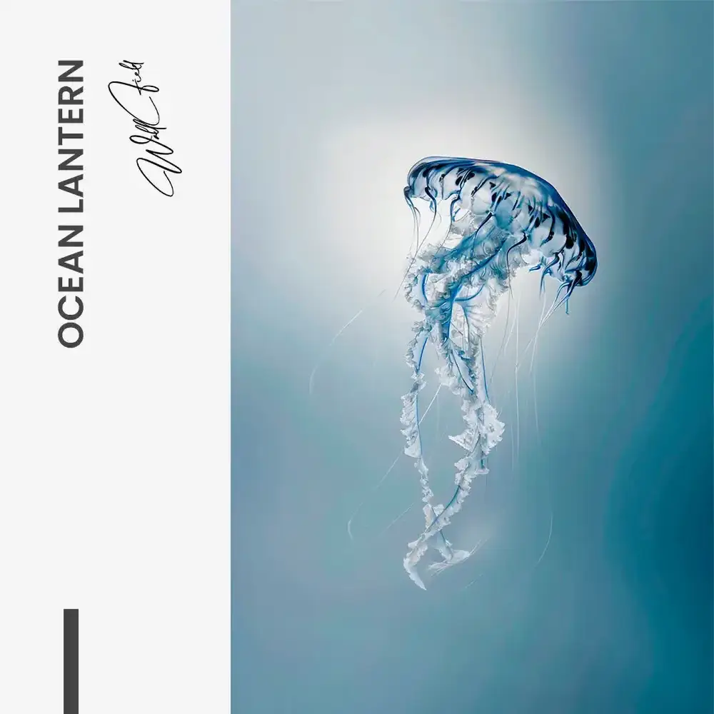 Ocean Lantern – Glas
